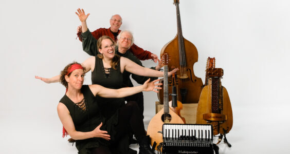 Afbeelding voor Zondagmiddagconcert van Folkgroep 4Reel