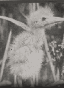 Afbeelding voor Van winter naar lente