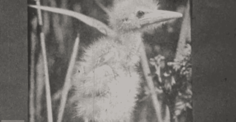 Afbeelding voor Van winter naar lente