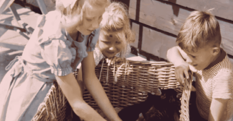 Afbeelding voor Het leven in de tuin