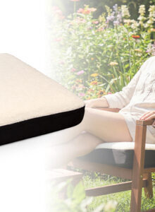 Afbeelding voor VEX Ergonomisch Zitkussen met Gel