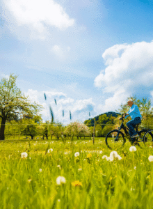 Afbeelding voor Meimaand = Fietsmaand