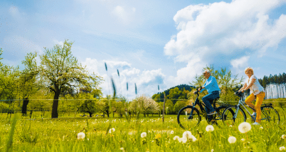 Afbeelding voor Meimaand = Fietsmaand