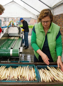 Afbeelding voor Aspergedag Museumdorp de Locht