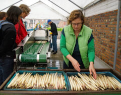 Afbeelding voor Aspergedag Museumdorp de Locht