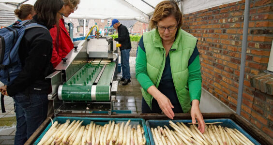 Afbeelding voor Aspergedag Museumdorp de Locht