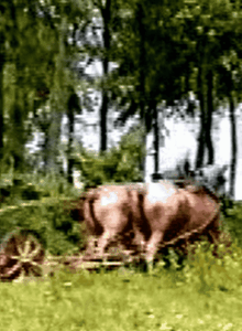 Afbeelding voor Op de Boerderij: Dieren, Leven en Traditie