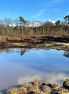 Afbeelding voor Bewust zuinig zijn op de natuur