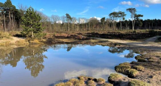 Afbeelding voor Bewust zuinig zijn op de natuur