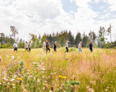 Afbeelding voor Wandel mee – Natuurbegraafplaats Schoorsveld