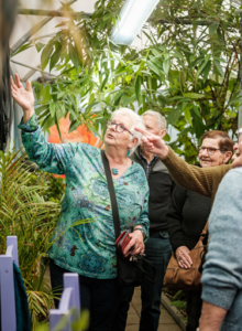 Afbeelding voor Flaneren langs fladderende vlinders