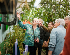 Afbeelding voor Flaneren langs fladderende vlinders