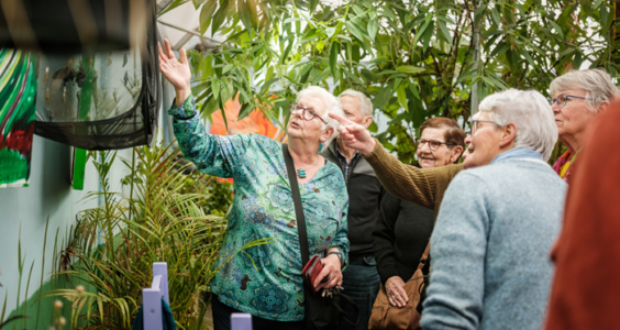 Afbeelding voor Flaneren langs fladderende vlinders