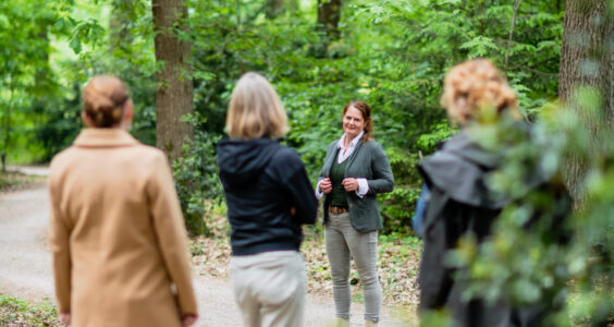 Afbeelding voor 2e van de maand wandeling