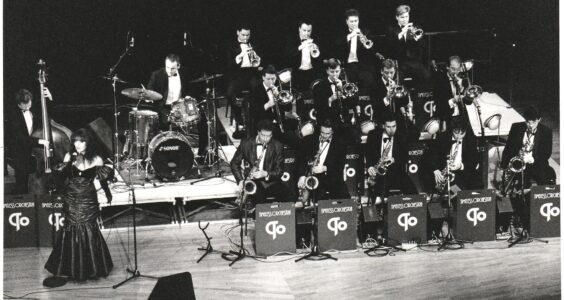 Afbeelding voor Reünie Timeless Orchestra