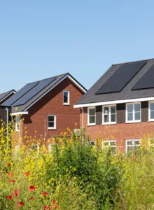 Afbeelding voor Ik heb zonnepanelen, Wat is het beste energiecontract?