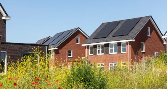 Afbeelding voor Ik heb zonnepanelen, Wat is het beste energiecontract?