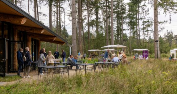 Afbeelding voor Inspiratiedag