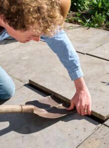 Afbeelding voor Mieren en slakken zijn onmisbare helpers in de tuin
