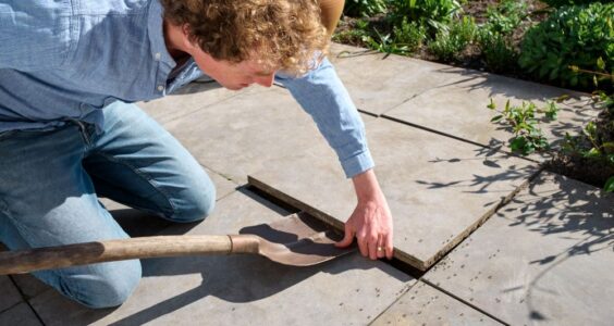 Afbeelding voor Mieren en slakken zijn onmisbare helpers in de tuin