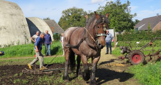 Afbeelding voor Aardappeldag in Museumdorp de Locht