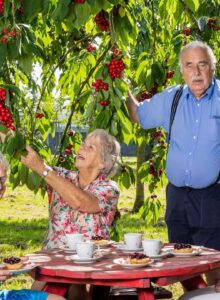 Afbeelding voor Kersen proeven en pitjes spugen