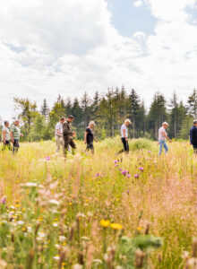 Afbeelding voor Wandelt u mee? – 2e van de maand wandeling