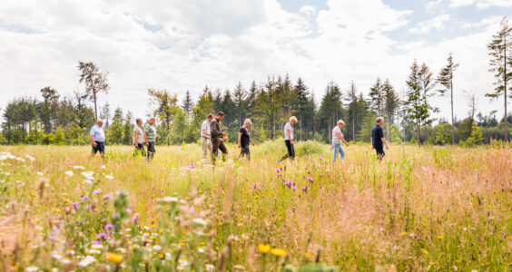 Afbeelding voor Wandelt u mee? – 2e van de maand wandeling