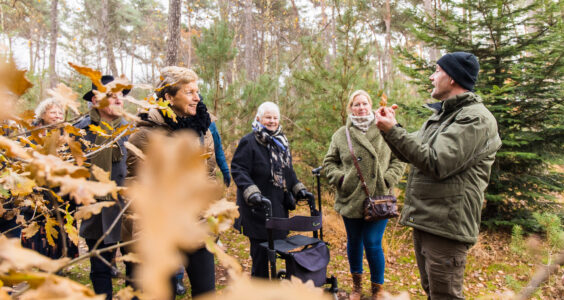 Afbeelding voor Herfstwandeling ism IVN Heeze-Leende